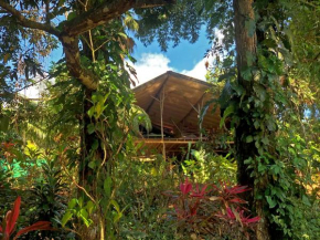 Cascada Verde Hostel